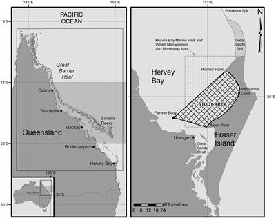 Social Behaviour of Humpback Whales (Megaptera novaeangliae) in Hervey Bay, Eastern Australia, a Preferential Female Stopover During the Southern Migration